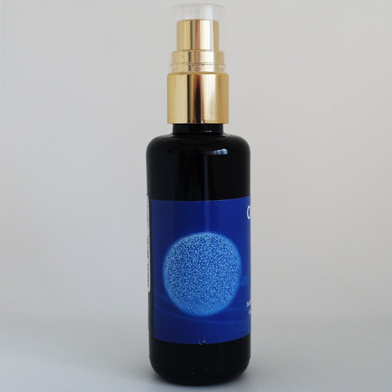 オーシャンスプレー50ml(PHI エッセンス)《細胞意識のリセット・再生》