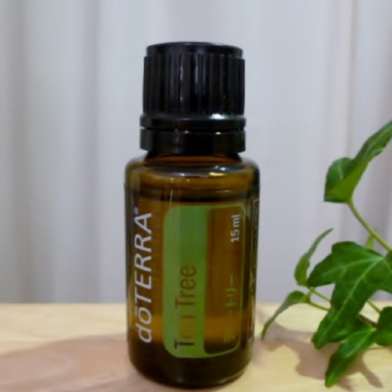 【お取り寄せ商品】doTERRA(ドテラ)ティーツリー15ml 清浄作用・清潔な生活に