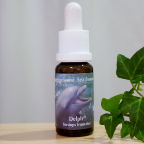 イルカ Dolphin(PHIエッセンス)15ml-オールマイティ/無条件の愛 ※軽減税率商品