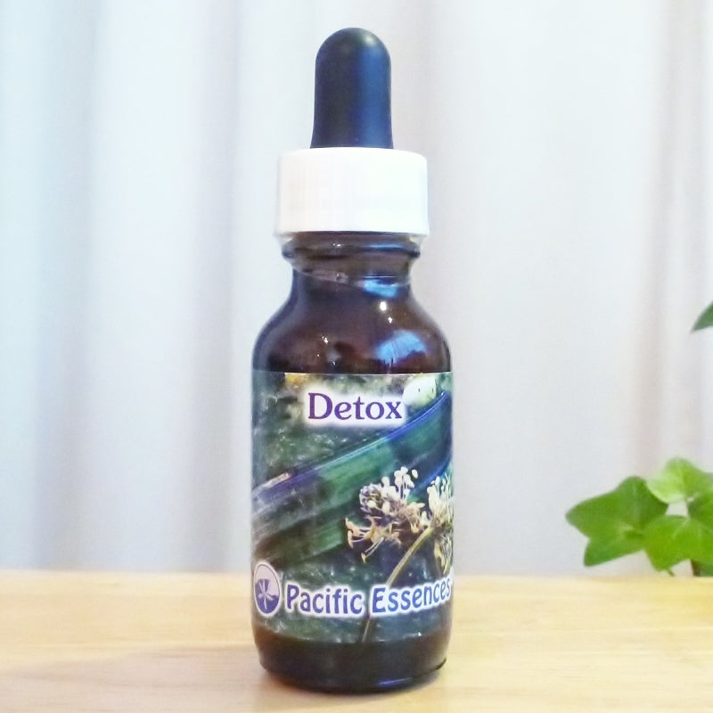 デトックス(パシフィック)Detox 30ml《心身の浄化・活力》 ※軽減税率商品