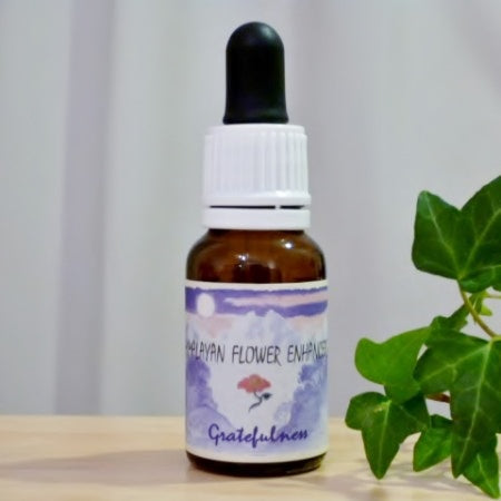 グレートフルネス(ヒマラヤン)15ml《第8チャクラ》 ※軽減税率商品