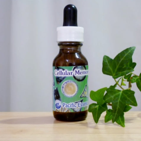 セルラーメモリー(パシフィック)30ml《細胞の記憶に光を》 ※軽減税率商品