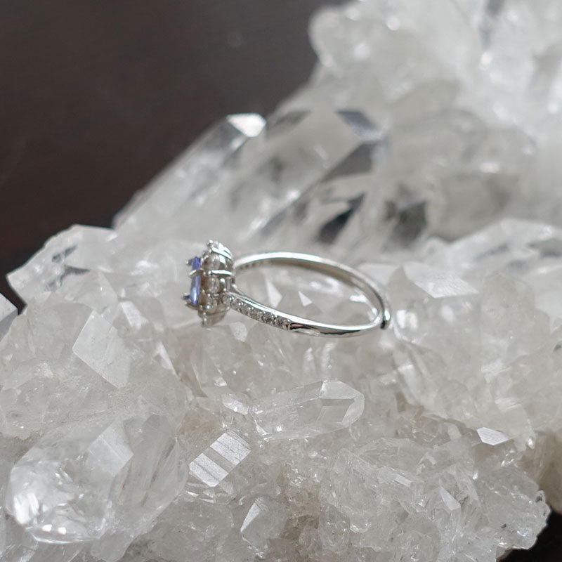 【送料無料】タンザナイト オーバル型リング(指輪)フリーサイズ《軌道修正/転機/未来》Silver925