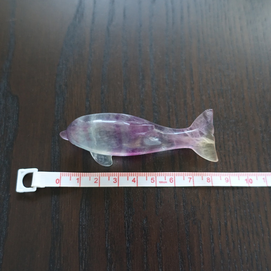 フローライト イルカ彫刻《8cm》No.7