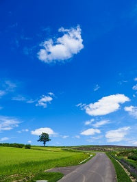 やさしさを迎えに･･･大きな"青空"を見に行こう！！