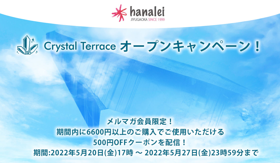 【終了しました】姉妹店 Crystal Terraceオープンキャンペーン開催！メルマガ会員様限定のお得なクーポンを配布します！
