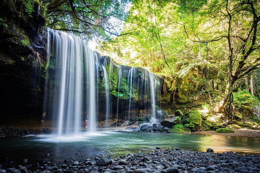 2026年「火」のパワーが強い丙午の年だからこそ、水の氣を補充してバランスを整えることが必要！