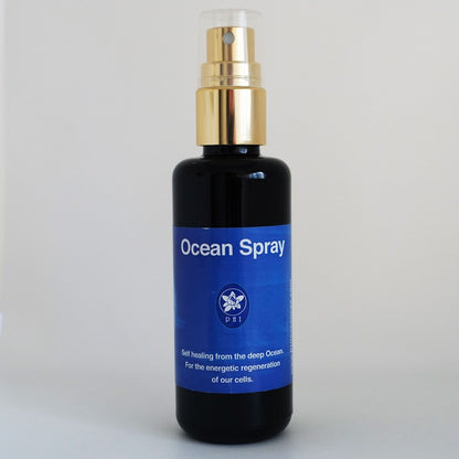 オーシャンスプレー50ml（PHI エッセンス）《細胞意識のリセット・再生》