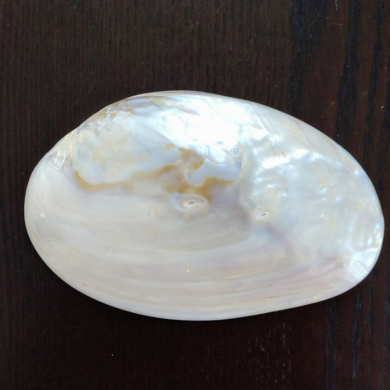 ヒマラヤ水晶チップAグレード大粒150g《マニカラン産/透明》＆マザーオブパールシェルLサイズ