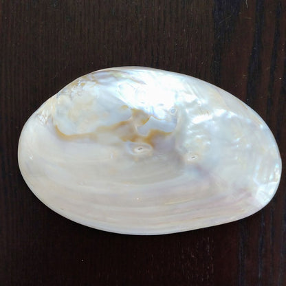 ヒマラヤ水晶チップAグレード大粒150g《マニカラン産/透明》＆マザーオブパールシェルLサイズ