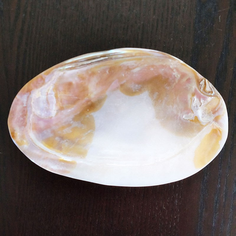 ヒマラヤ水晶チップAグレード大粒150g《マニカラン産/透明》＆マザーオブパールシェルLサイズ