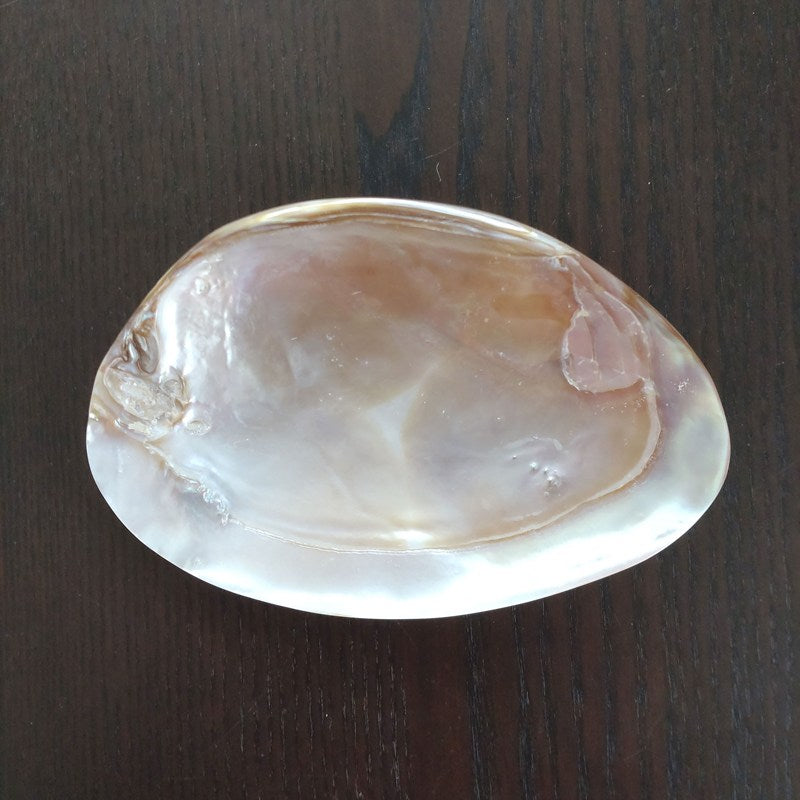 ヒマラヤ水晶チップAグレード大粒100g《マニカラン産/透明》＆マザーオブパールシェルMサイズ