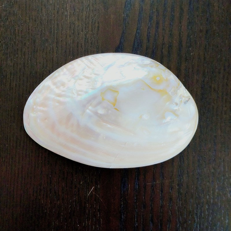 ヒマラヤ水晶チップAグレード大粒100g《マニカラン産/透明》＆マザーオブパールシェルMサイズ